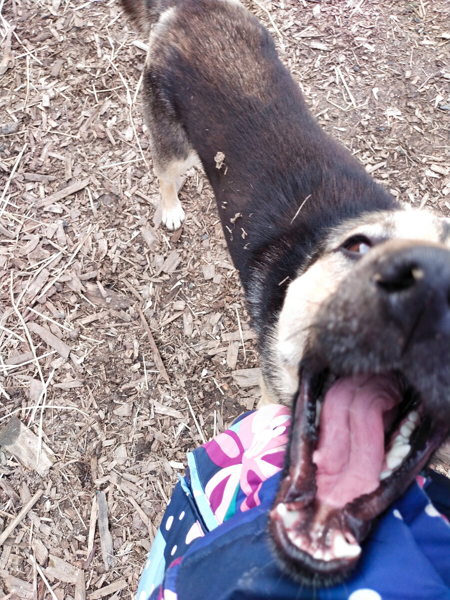 Кусь Кусь Кусь Кусь Кусь Кусь Кусь