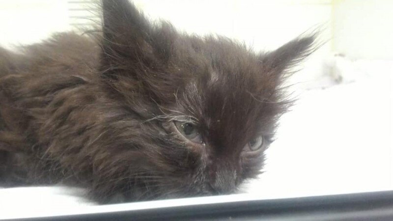 Фото из домашнего архива