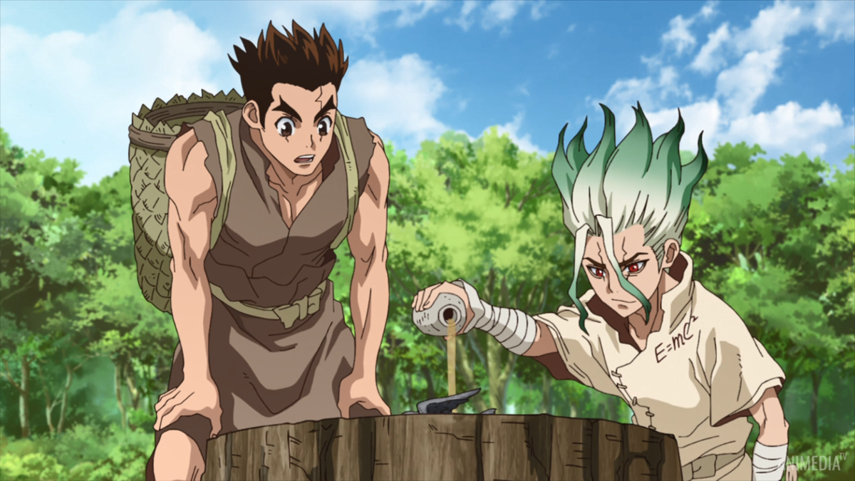 Доктор стоун сенку и тайджу. Когда выйдет стоун 3. Цукаса сисио. Аниме доктор стоун никки. Когда выйдет стоун 3.