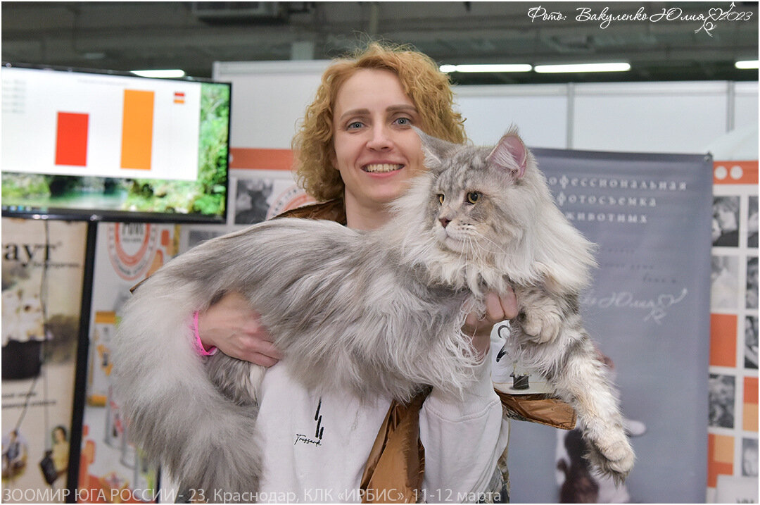 Князь BEST OF BEST IV по WCF ЗООМИР ЮГА 11-12 марта 2023