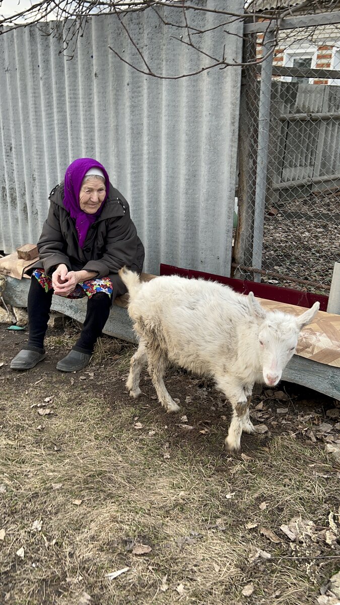 На фото моя бабушка и молодая коза Катерина