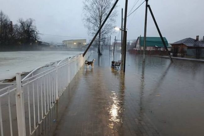 Угра подъем воды