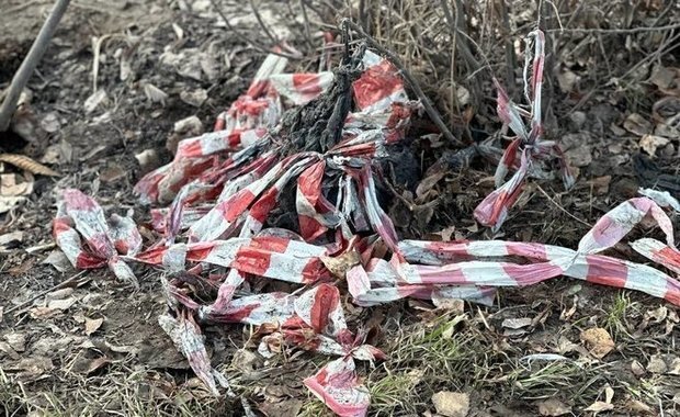 Фото: соцсети 