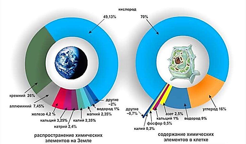 Химические элементы в оболочках земли и молекулах живых систем презентация