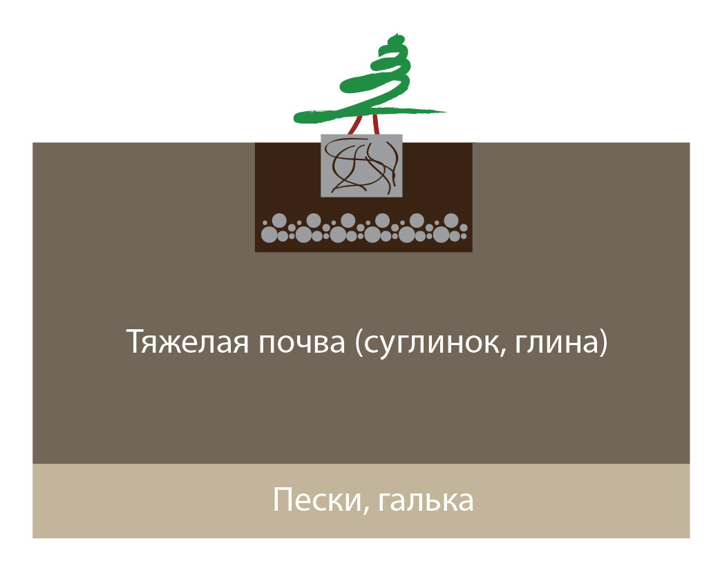 Друзья, привет! Сейчас весна, опять много статей про посадку растений. Как правильно, как неправильно. Одним из главных условий посадки на тяжелых почвах, считается дренаж.