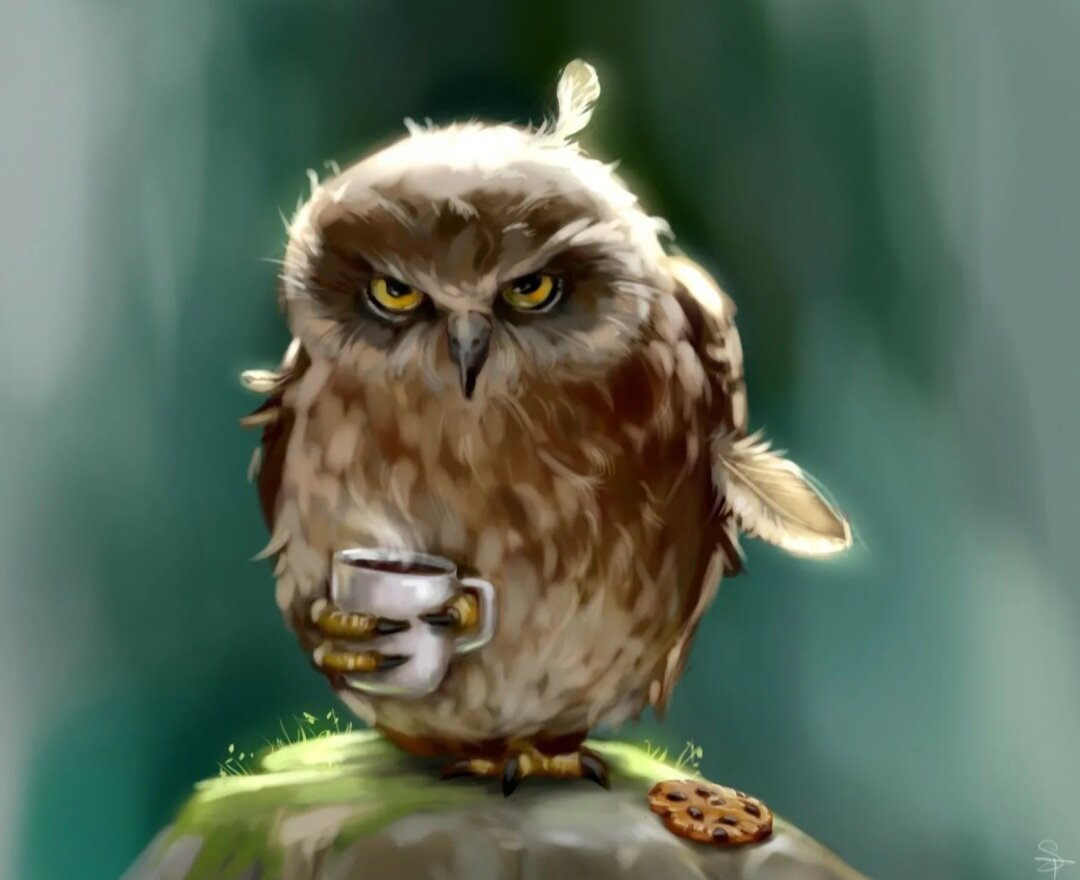 Нашла в интернете самую подходящую картинку для описания утренней меня☺️