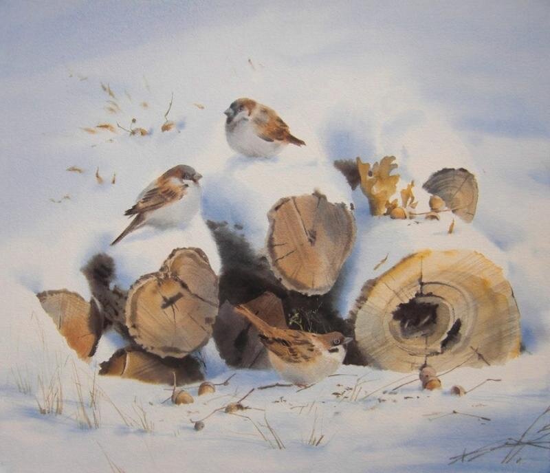 8. ������� ���������. ����������� ������: livejournal.com