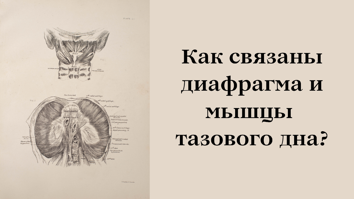 Что нужно знать о вагинизме?