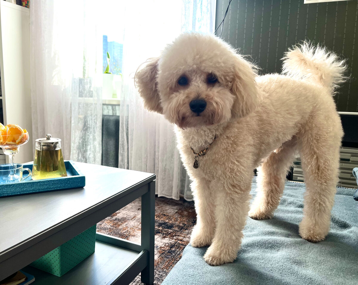 Когда ты еще не знаешь, что пора к стоматологу, но уже что-то подозреваешь