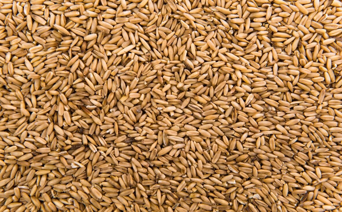 Фото: ru.freepik.com