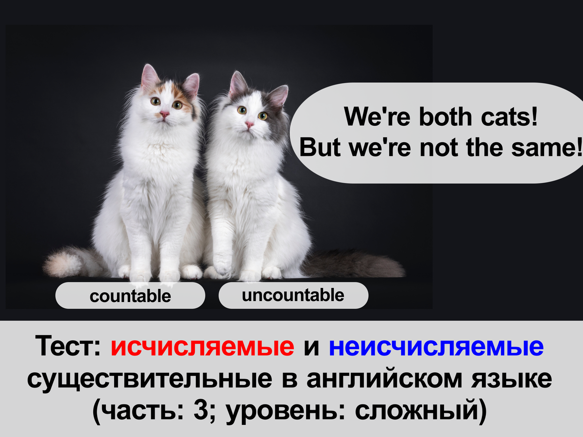 Тест: исчисляемые и неисчисляемые существительные в английском языке ...
