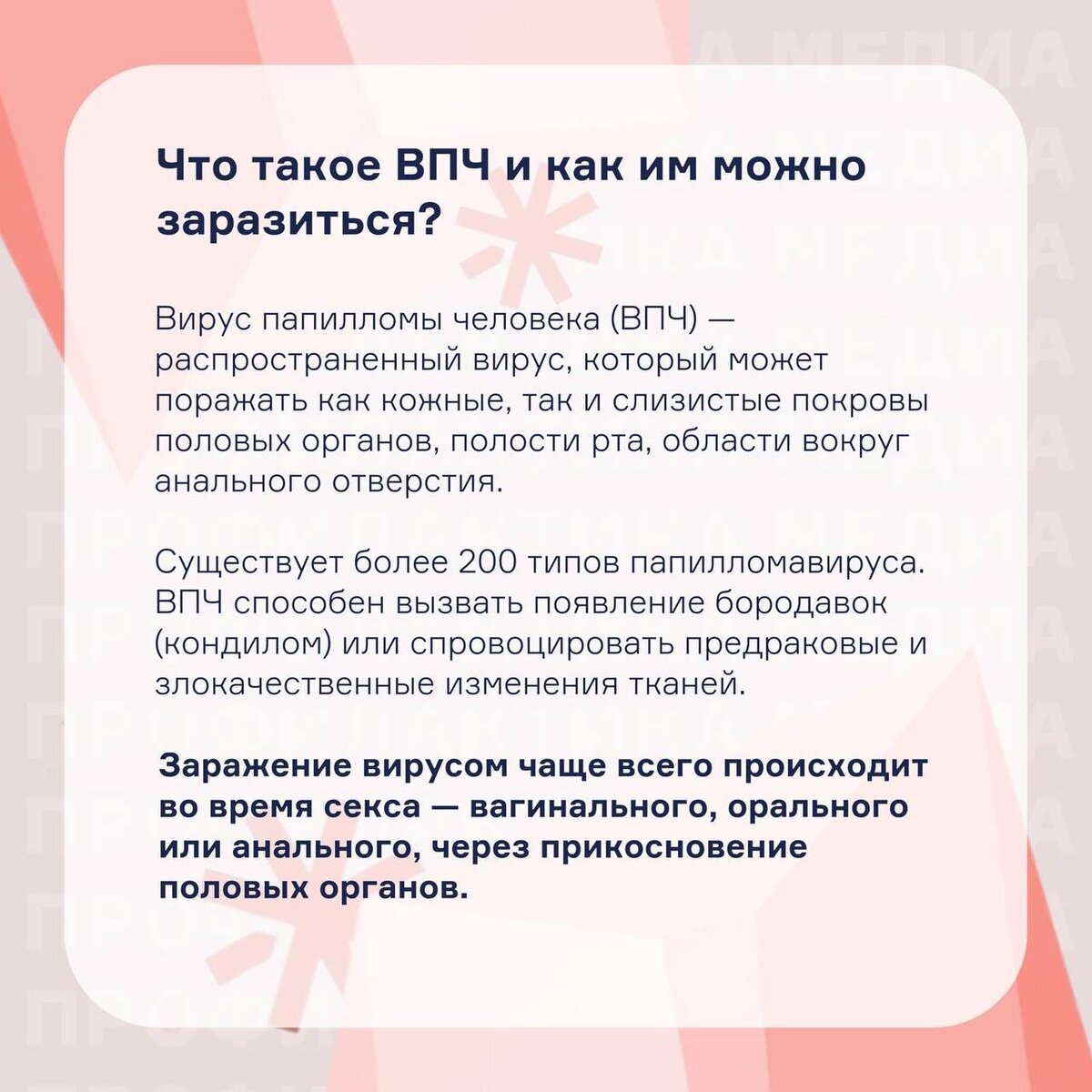 Вирус папиломмы человека: может ли он привести к раку | НЕ НАПРАСНО | ФОНД  МЕДИЦИНСКИХ РЕШЕНИЙ | Дзен