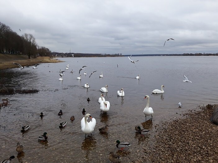 Рига, 21 марта 2023