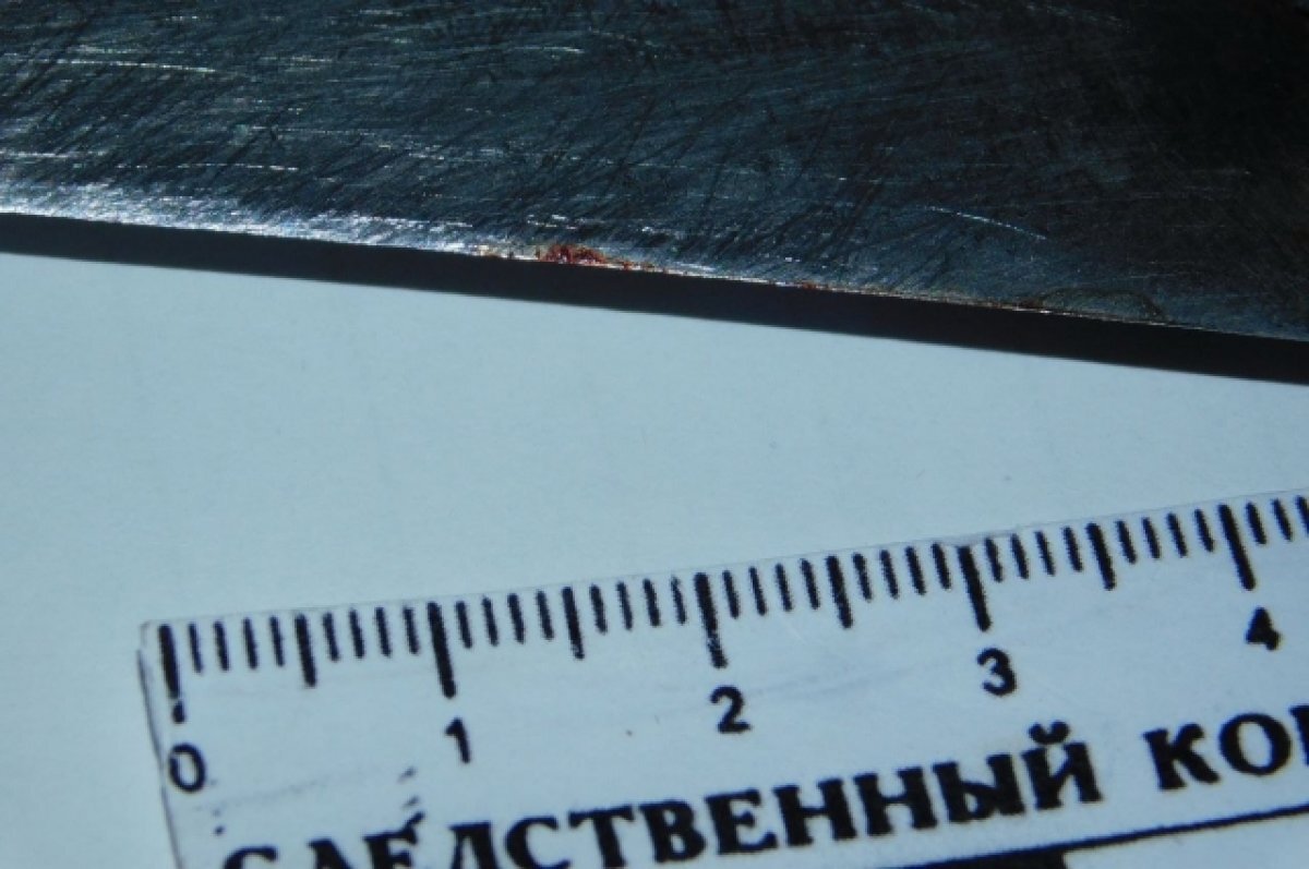    Жительница Забайкалья воткнула нож в бок сестры и теперь сядет на два года