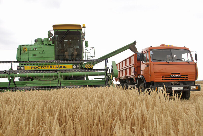     Как комбайн срезает колосья: ответ к загадке, мучившей вас с детства