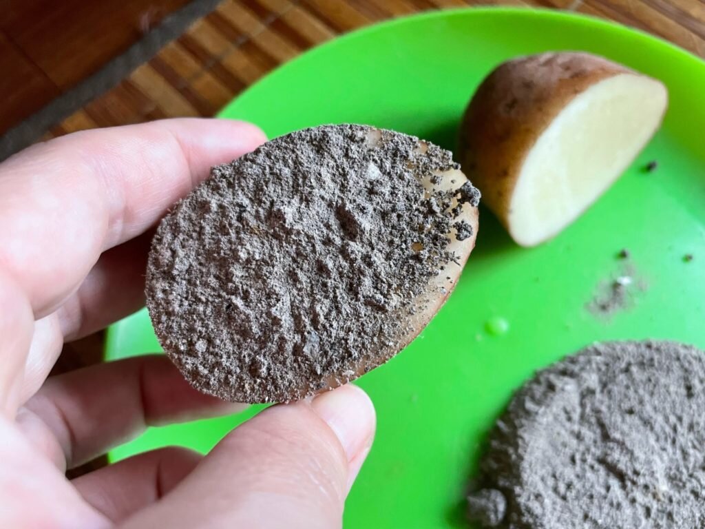 Срез картофеля в слое золы