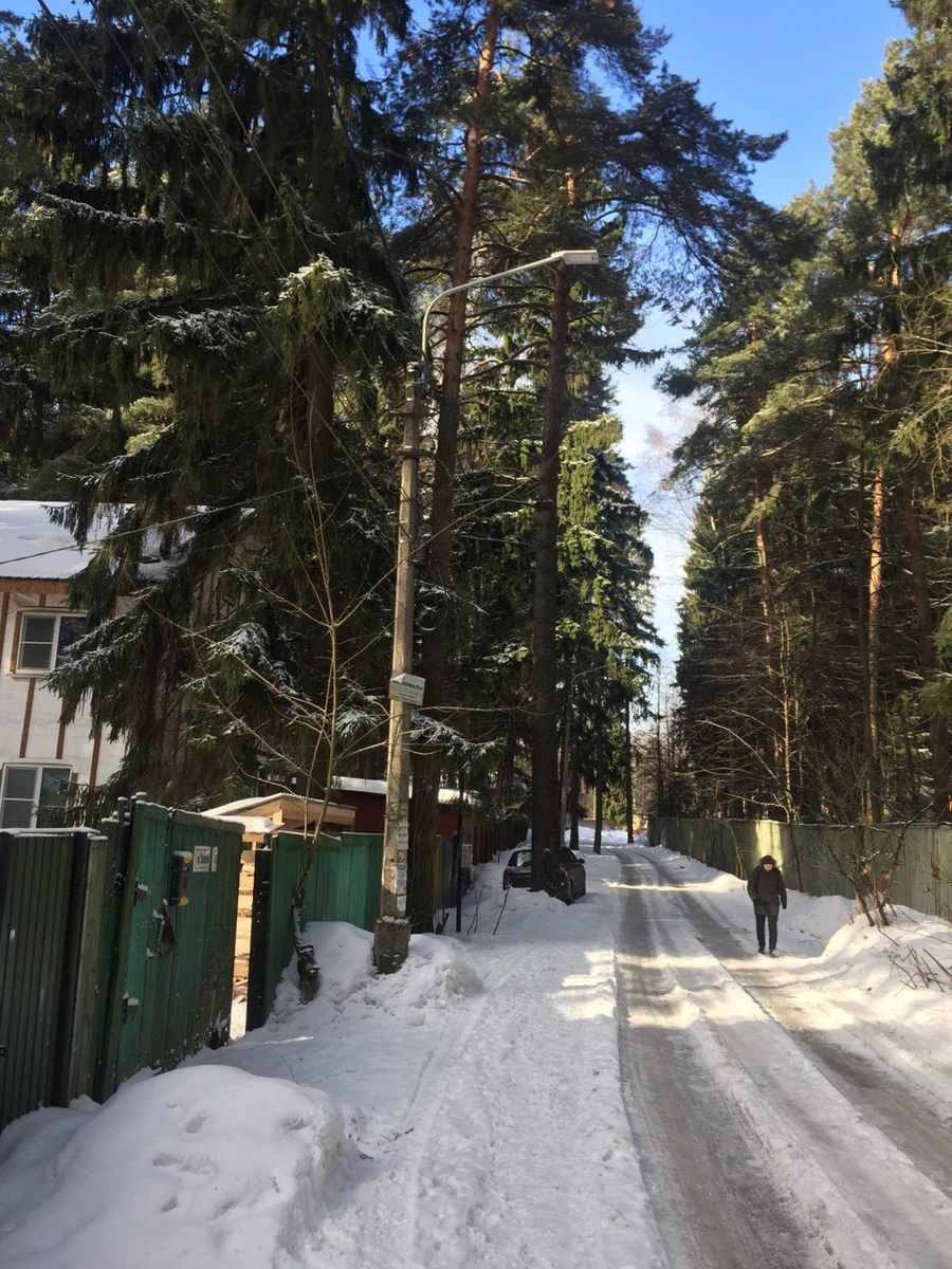 Так выглядят дачи и дорога в садик