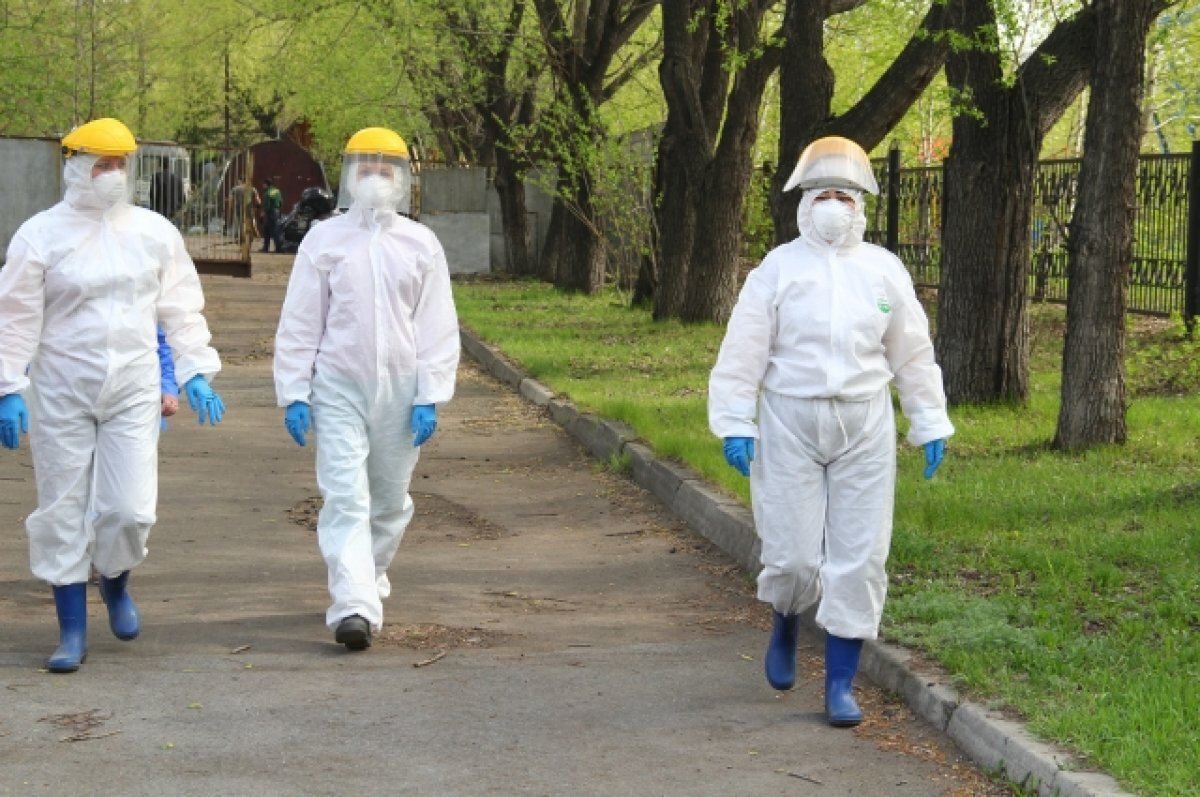    Омские кладбища и парки начнут обрабатывать от клещей и грызунов