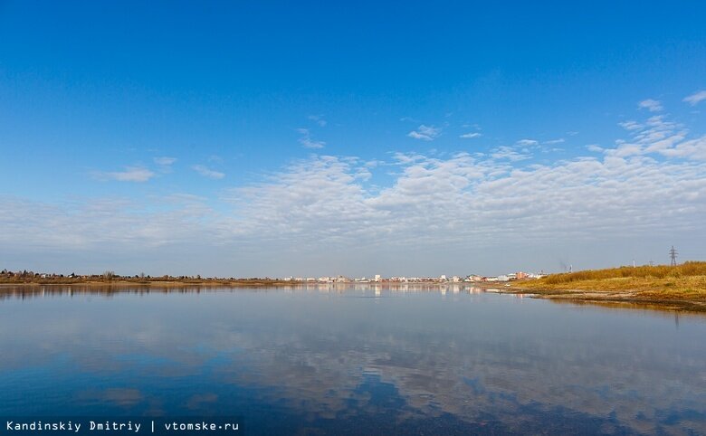    Фото: Дмитрий Кандинский / vtomske.ru