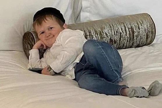     Блогер Хасбик попытался оправдаться после издевательств над кошкой. Но это не помогло