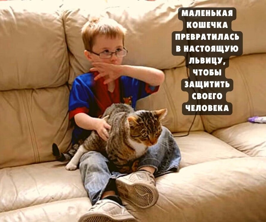 Отважный питомец защитил своего маленького друга от хулиганов 🔥 Фото с сайта boredpanda.com