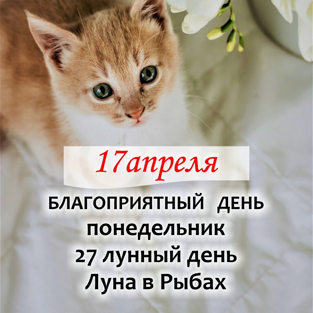 Работы в саду и огороде в июне / что делать в огороде в полнолуние - 19 мая 2022