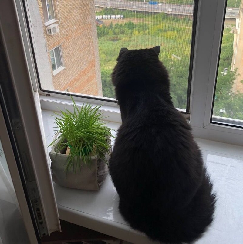 Размышляет о смысле бытия.