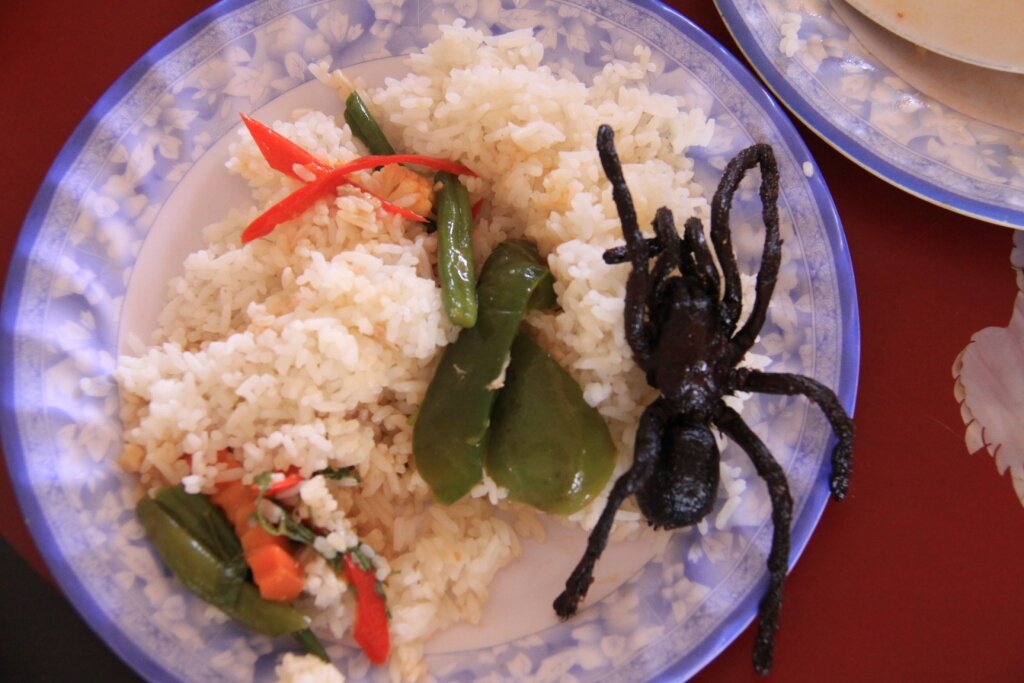 жареные пауки