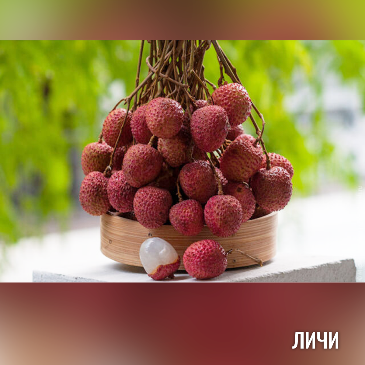 Личи плодовое дерево. Личи мадагаскарские. Личи ягода. Китайские личи. Личи литчи.