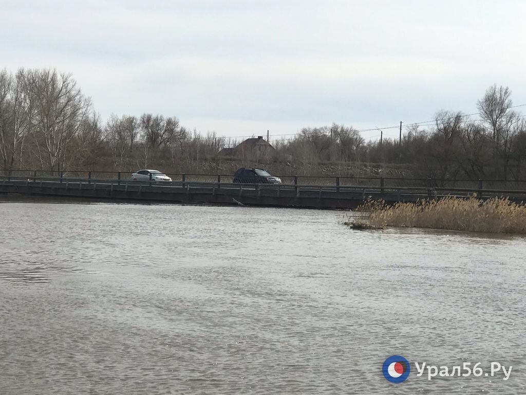 Ситуация сложная... Паводок только набирает обороты: Состояние рек Урал,  Орь, Елшанка, Казак-Чекан в районе Орска | Урал56.Ру | Оренбург, Орск -  главные новости | Дзен