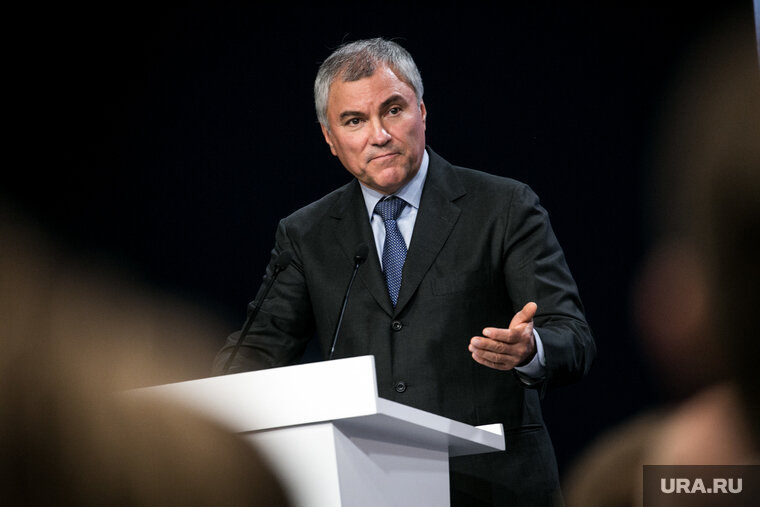    Россия приостанавливает выплаты в ПА ОБСЕ, заявил Вячеслав Володин