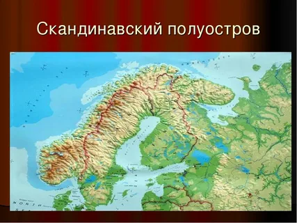 Скандинавский тигр с норвежской ложкой.