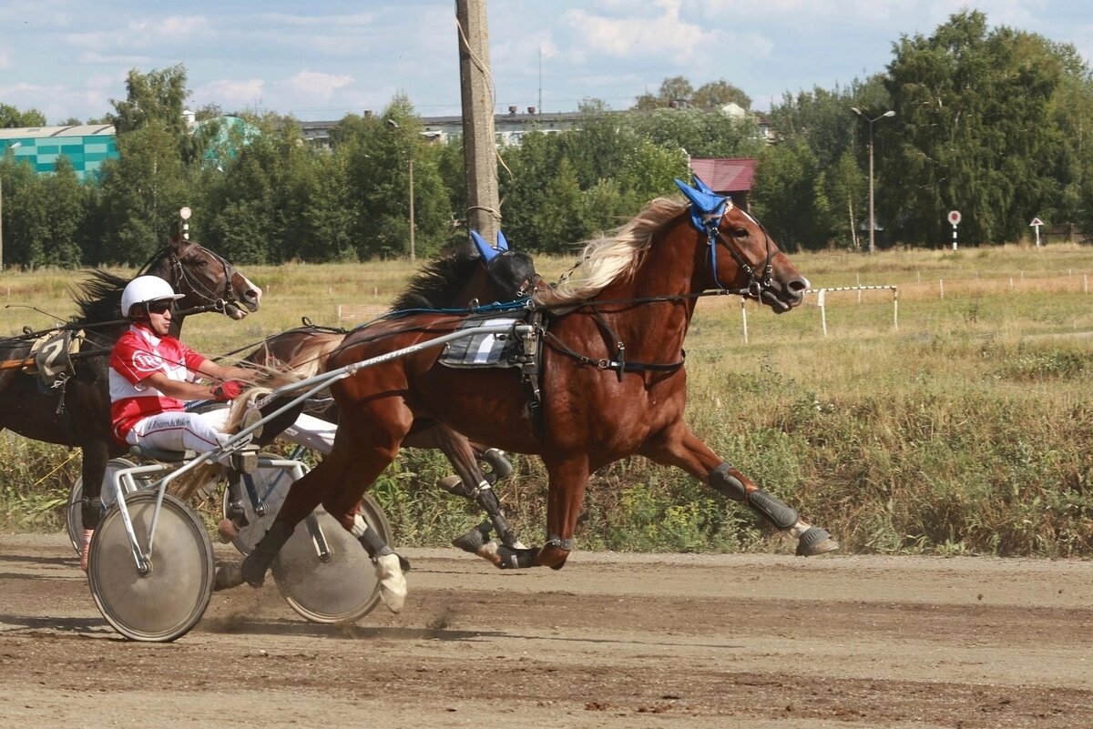 Raptor 125 с наездником