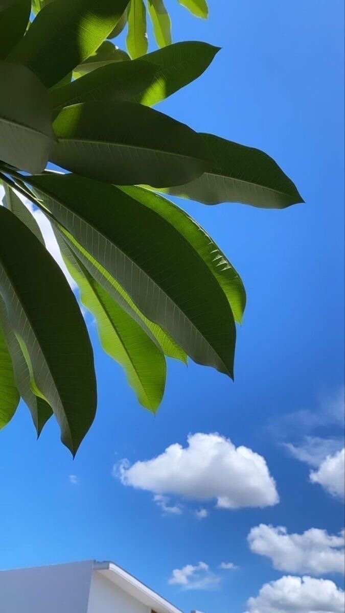 Знаки зодиака