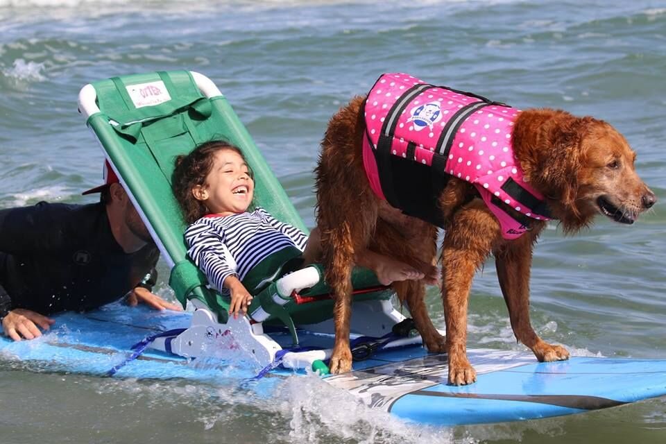    Рикошет часто участвовала в благотворительных акцияхYouTube