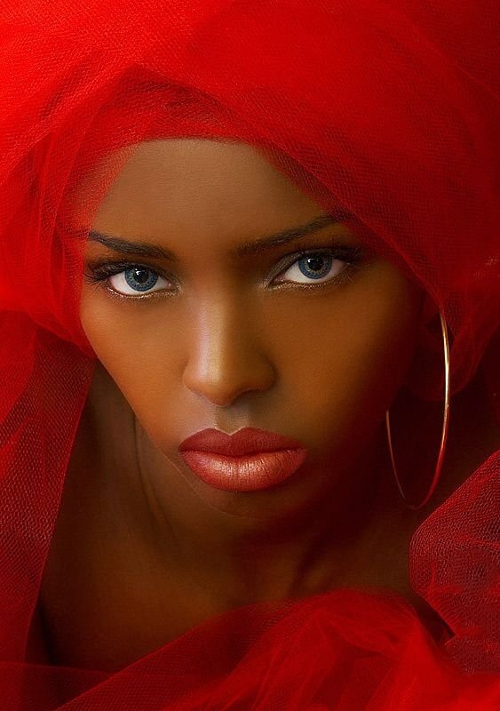 Иллюстрация из свободного доступа 