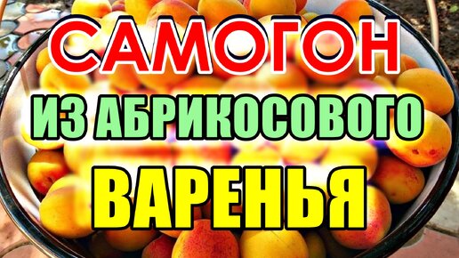 Рецепты бражки из варенья в домашних условиях