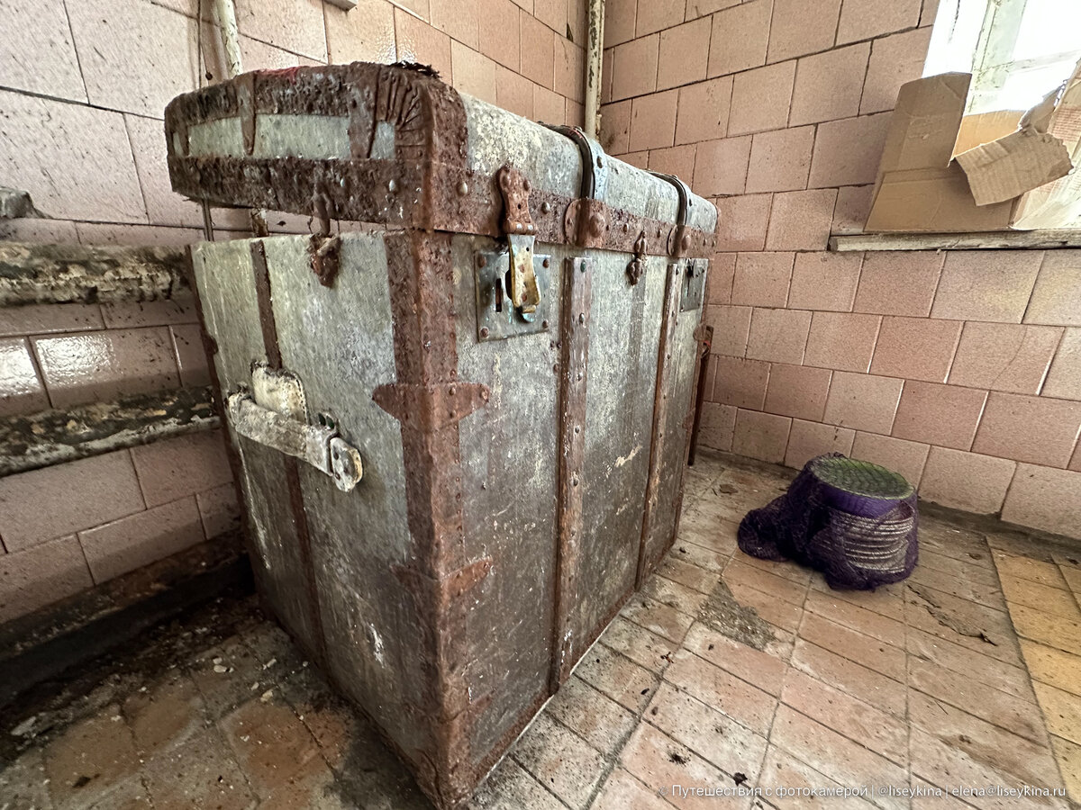 Гуляла по заброшенной усадьбе, увидела открытую дверь и решила ...