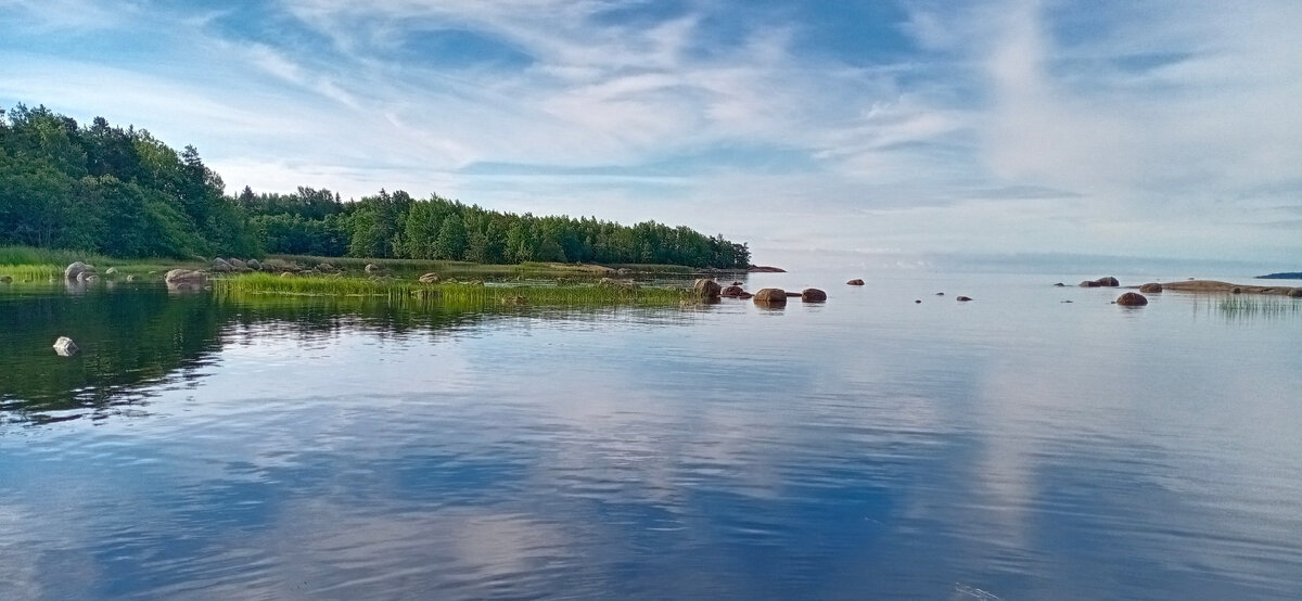 Залив, лето  2022.