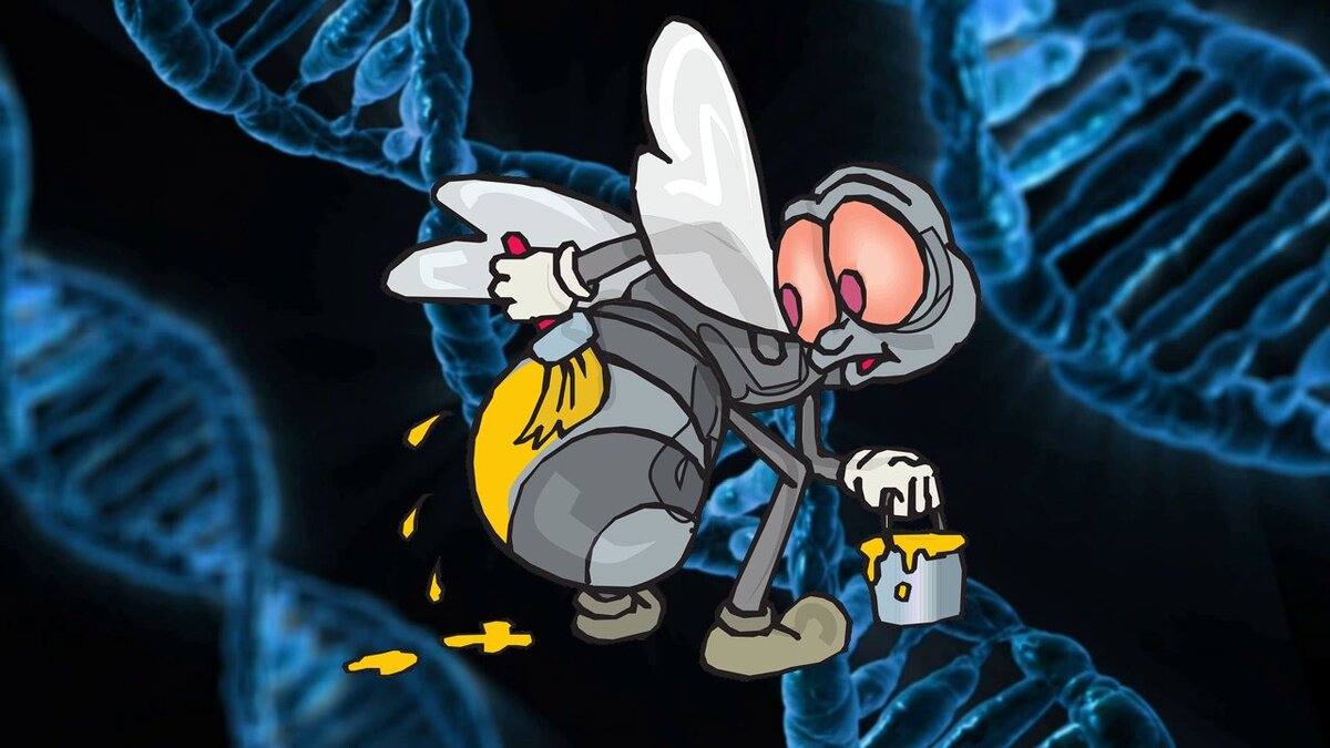 Если на пасеке несколько пород пчёл