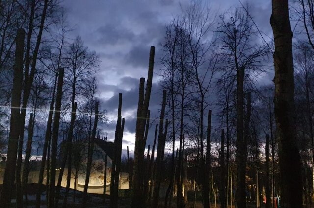    В вечернее время эти столбы в парке Гагарина особенно страшно выглядят. Фото:  АиФ
