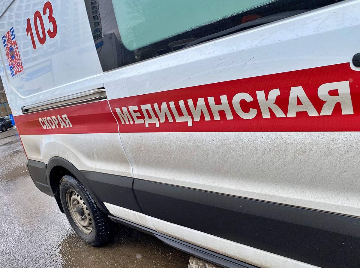    Фото: Анна Быкова / Вечерняя Москва