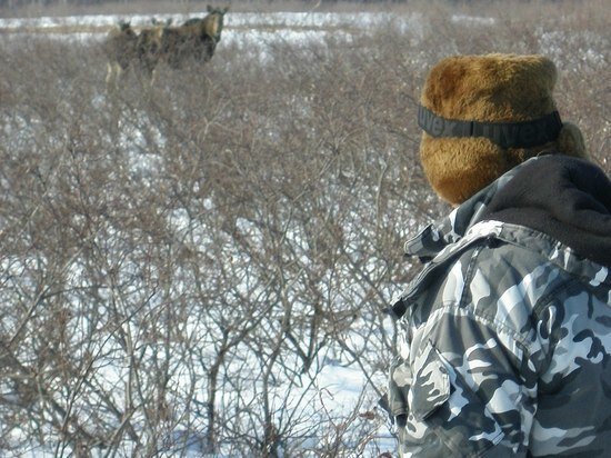     Фото: департамент природных ресурсов и экологии ЯНАО