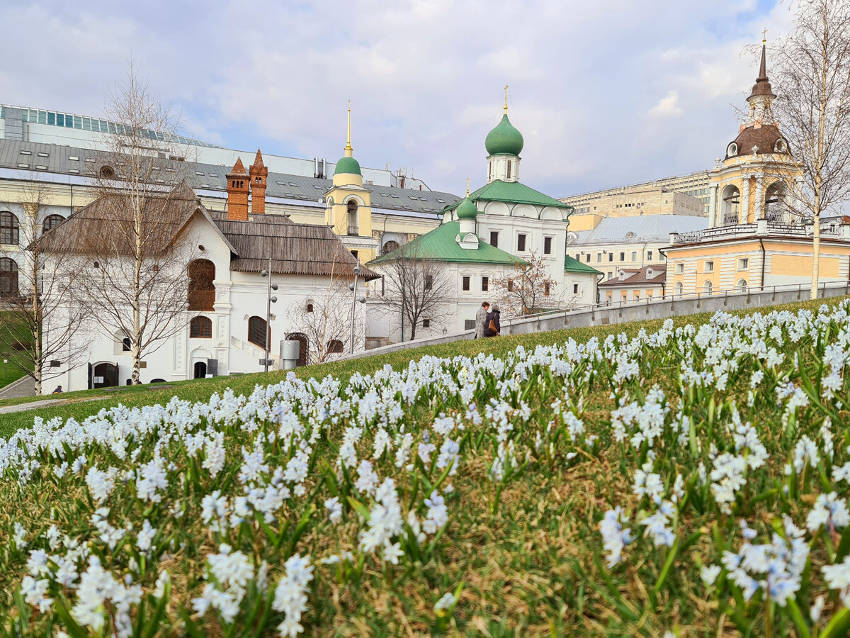 Пушкиния, фото автора