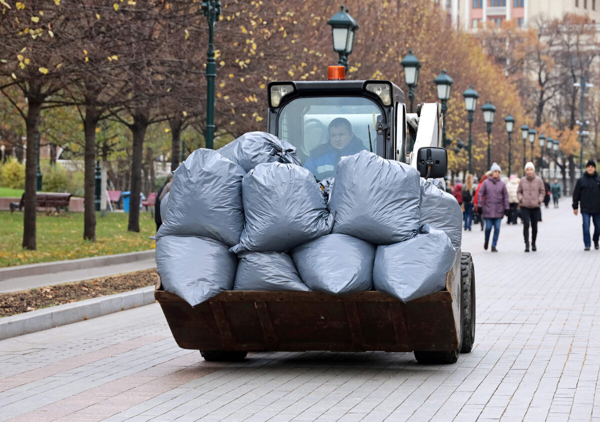 Пластиковые мешки разлагаются в природе сотни лет, а опавшая листва — в течение года-двух. Поэтому собирать опад в мусорные пакеты — плохая идея. Фото: Oleg Elkov / iStock