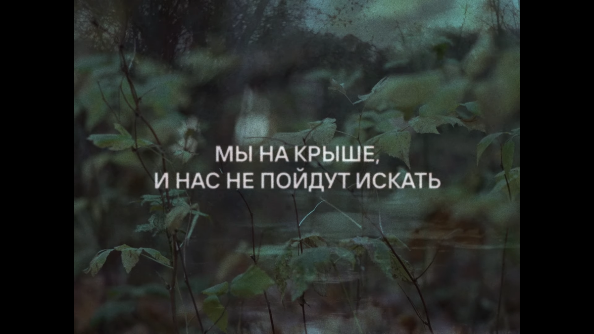 С любовью, Сироткин. Бейся сердце, время биться | Посиделки у Альфы  Центавра | Дзен