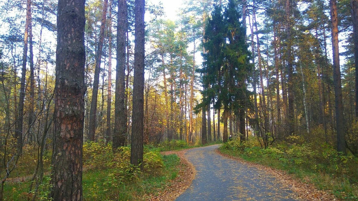     В Татарстане обещают малооблачную и сухую погоду с сильным ветром. Соответствующий прогноз на воскресный день предоставили в гидрометцентре республики.