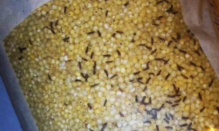 фотография взята из открытых источников