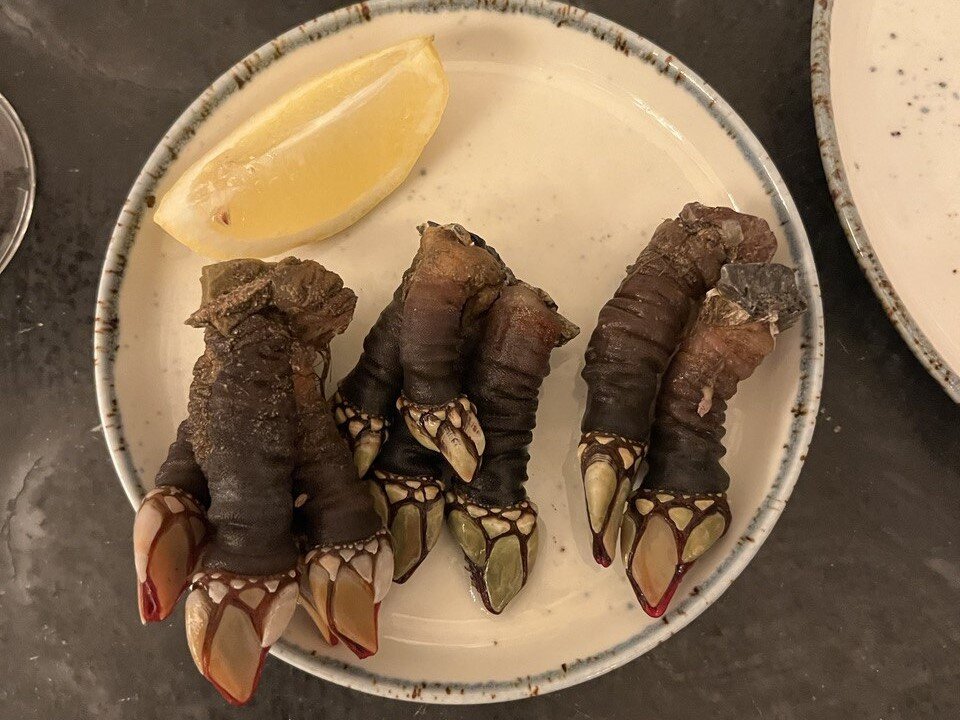 Порция морских уточек в ресторане Лиссабона, 150 г примерно на €18