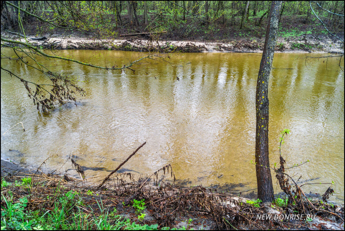 Река Песковатка